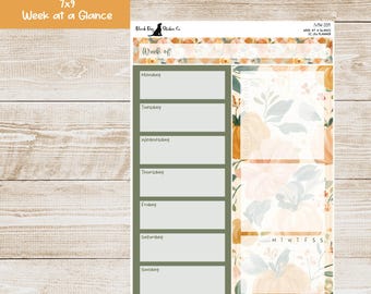 W-359 Erin Condren EC 7x9 or A5 Week at a Glance Kit - Pumpkin Patch - Planner Stickers