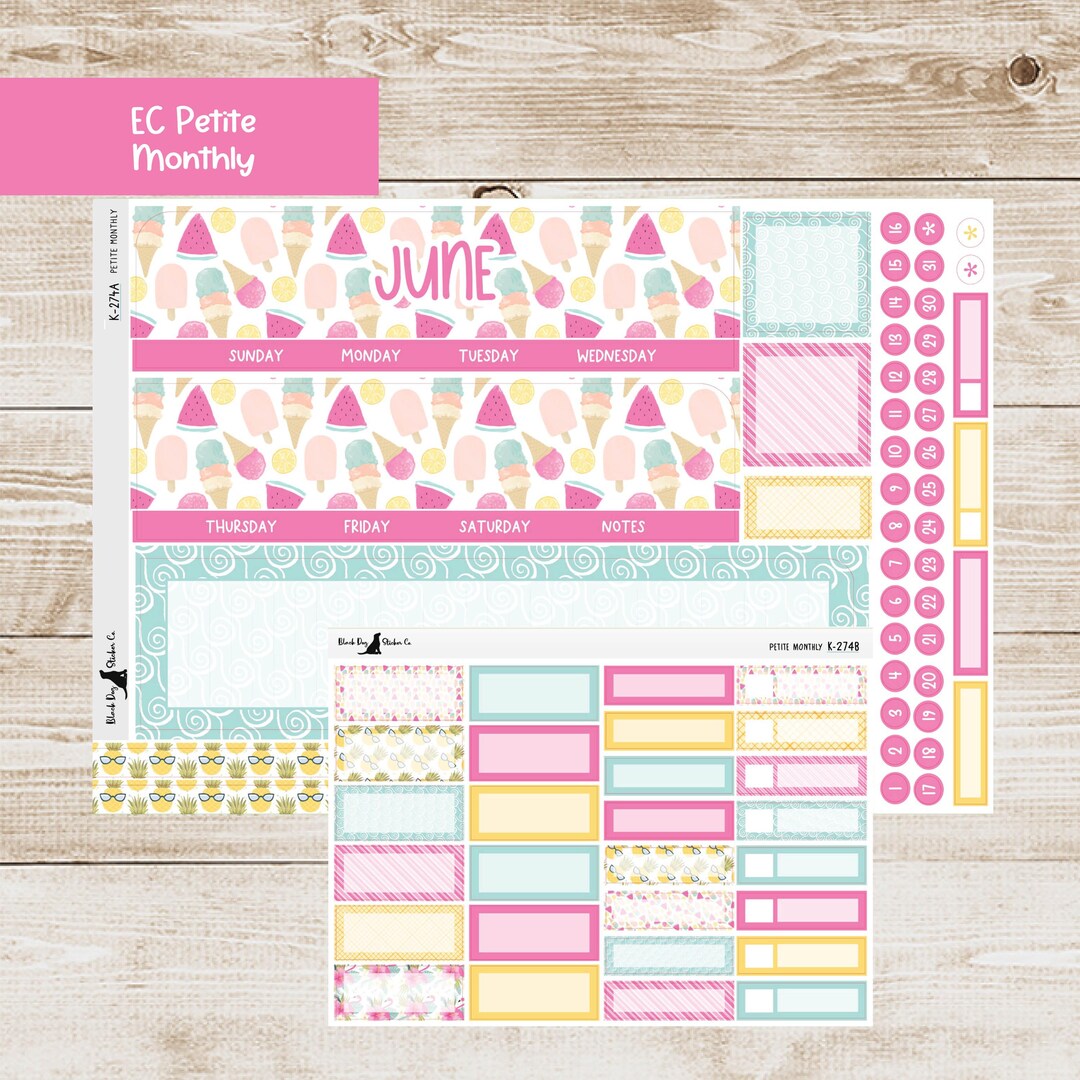 PET-274 Erin Condren Petite Monthly Kit - June 2025 - Summer Fun ...