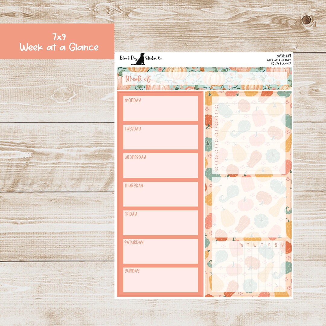 W-289 Erin Condren EC 7x9 or A5 Week at a Glance Kit - Fall Pumpkins ...
