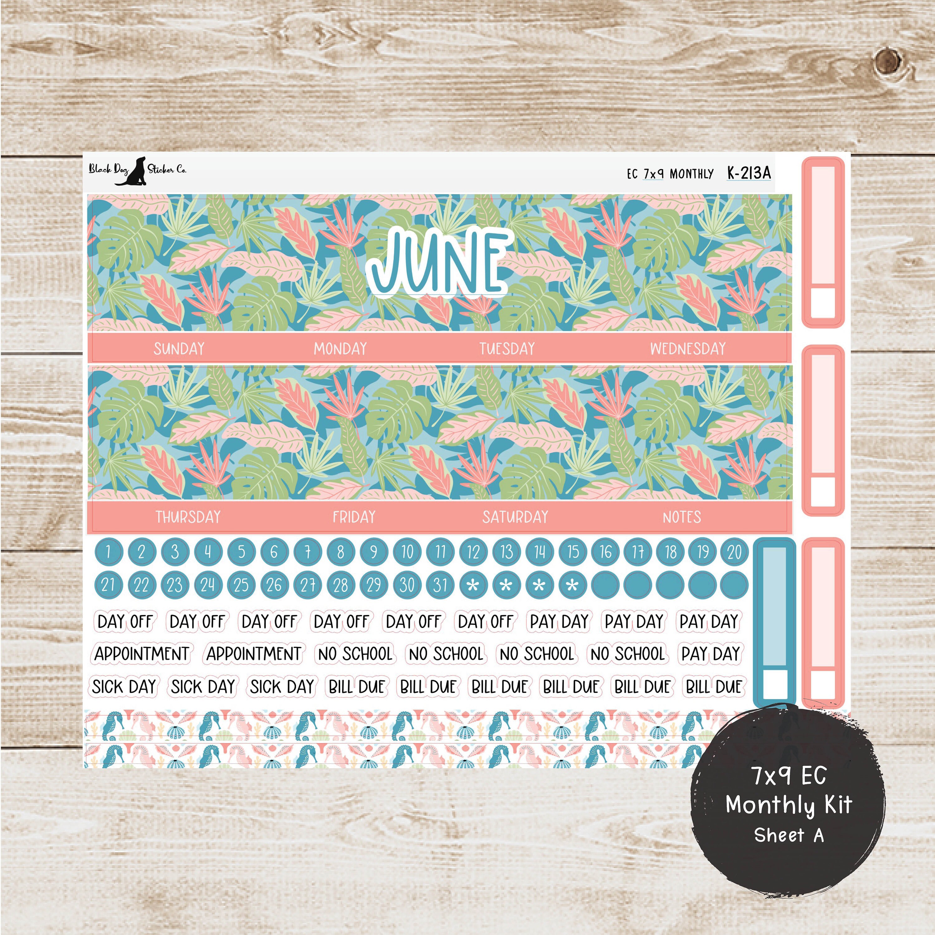 K-213 Erin Condren EC 7x9 Monthly Kit - June 2024 - Island Vibes ...