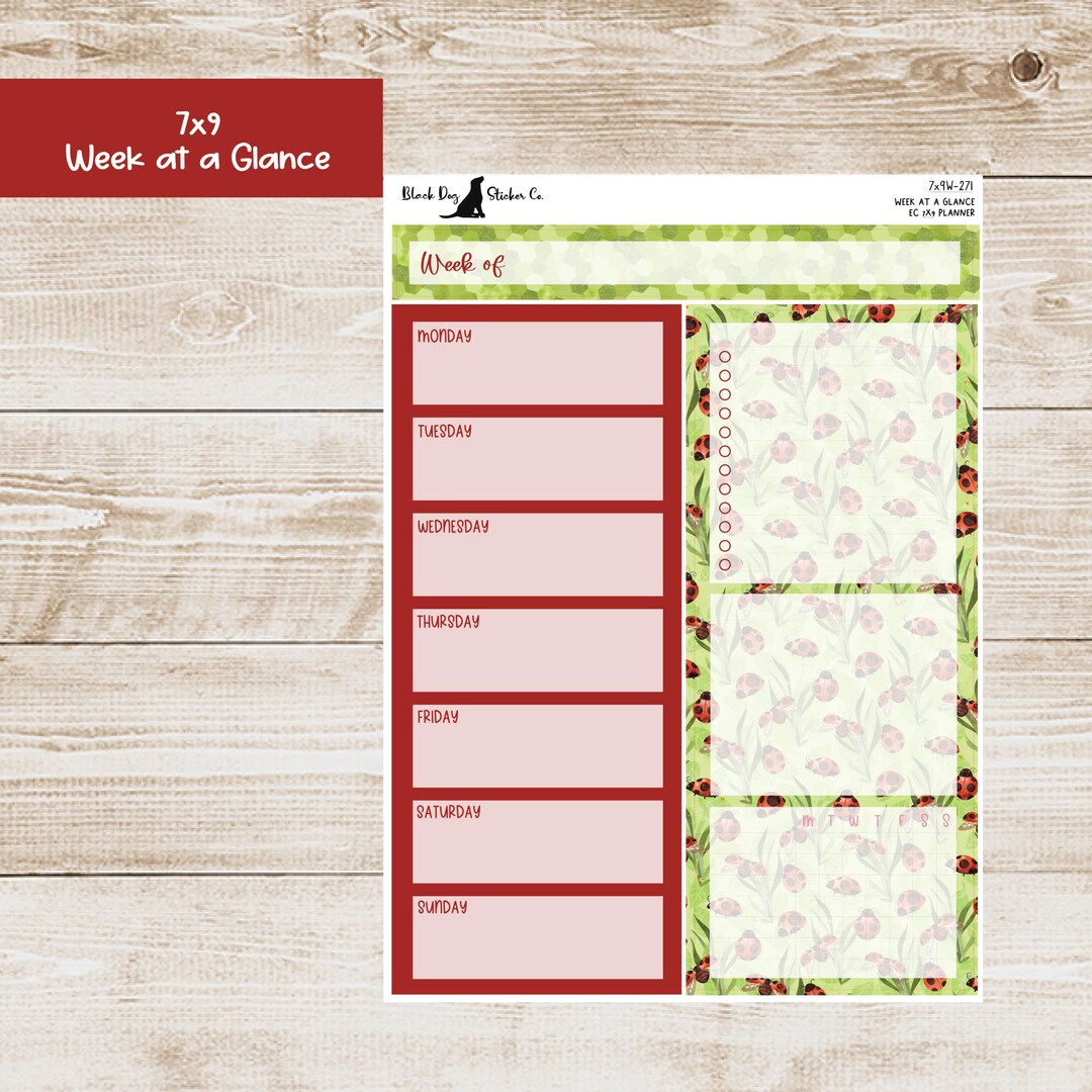 W-271 Erin Condren EC 7x9 or A5 Week at a Glance Kit - Lil Ladies ...