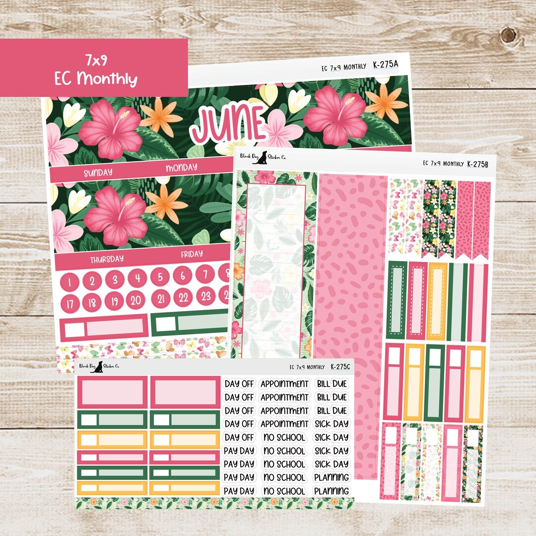 K-275 Erin Condren EC 7x9 Monthly Kit - June 2025 - Tropical Glow ...
