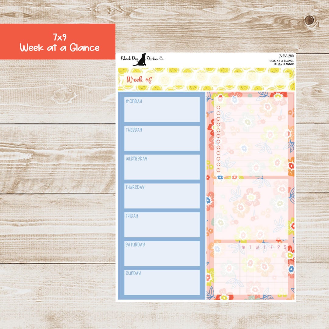 W-280 Erin Condren EC 7x9 or A5 Week at a Glance Kit - Sunshine Days ...