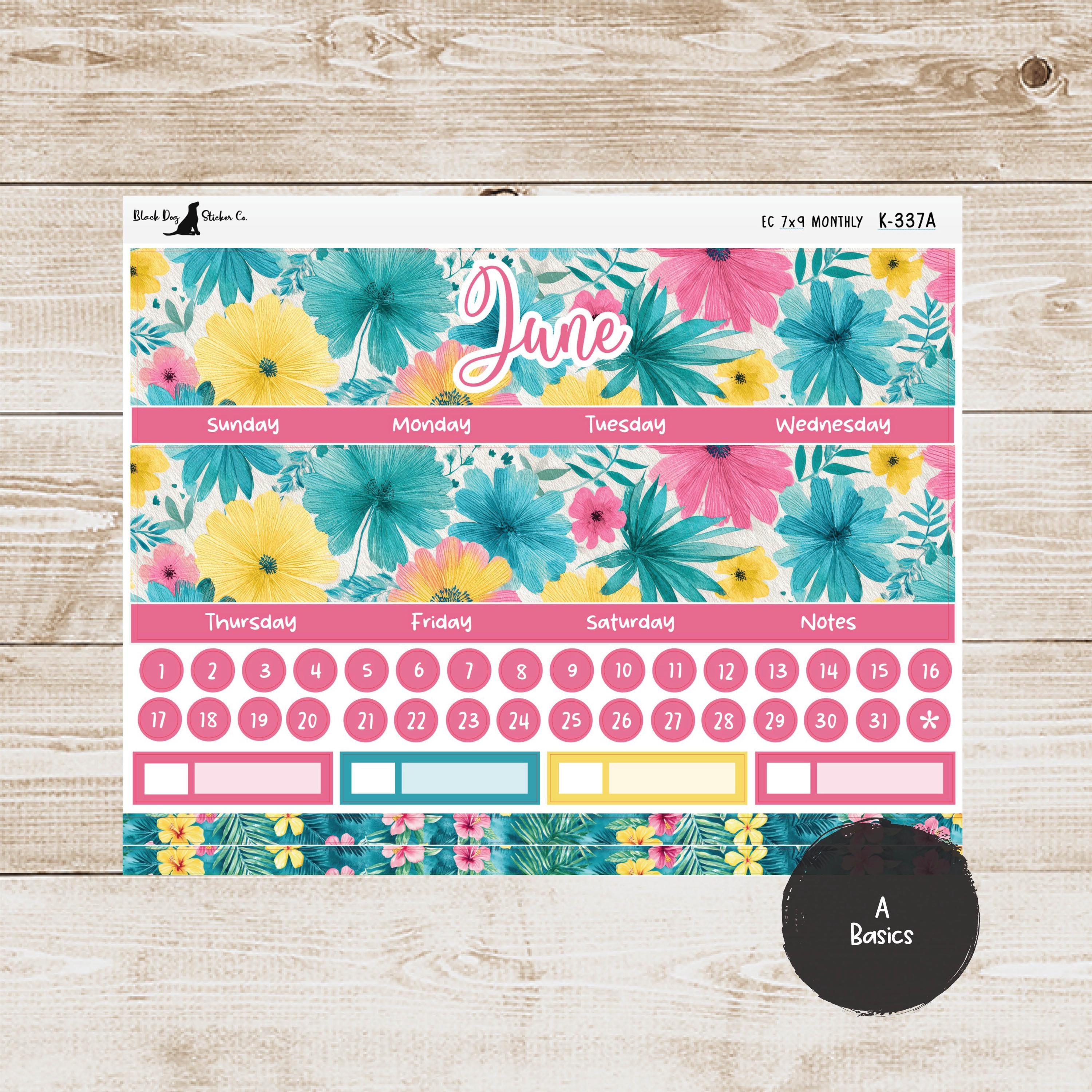 K-337 Erin Condren EC 7x9 Monthly Kit - June 2026 - Tropic Like It's ...