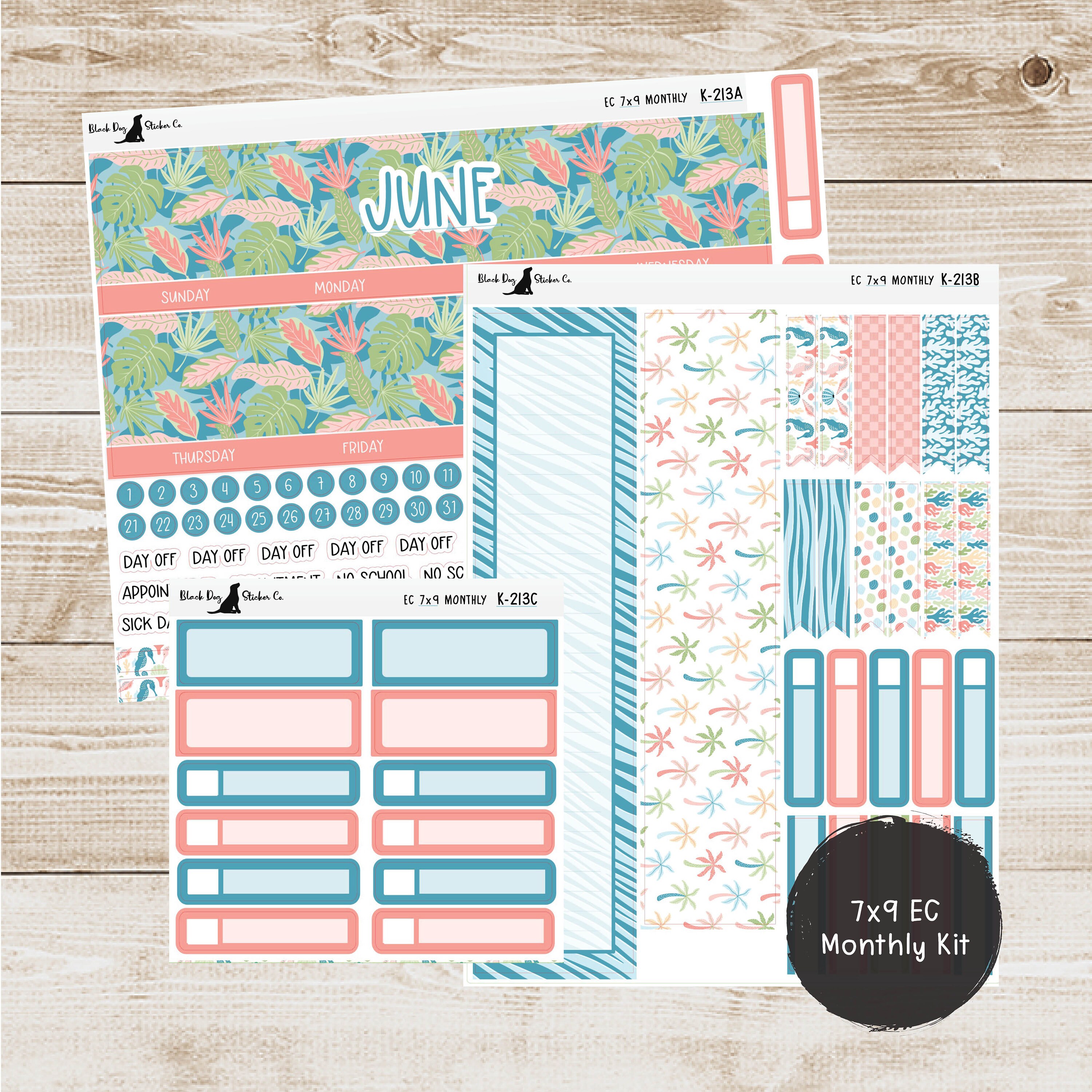 K-213 Erin Condren EC 7x9 Monthly Kit - June 2024 - Island Vibes ...