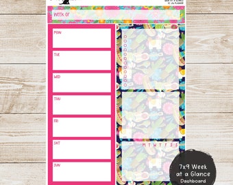 Erin Condren EC 7x9 or A5 Week at a Glance Kit - Cinco de Mayo - Planner Stickers - 7x9W-216 or A5W-216