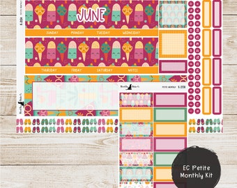 PET-215 - Erin Condren Petite Monthly Kit - June 2024 - Fruity Fun - Planner Stickers