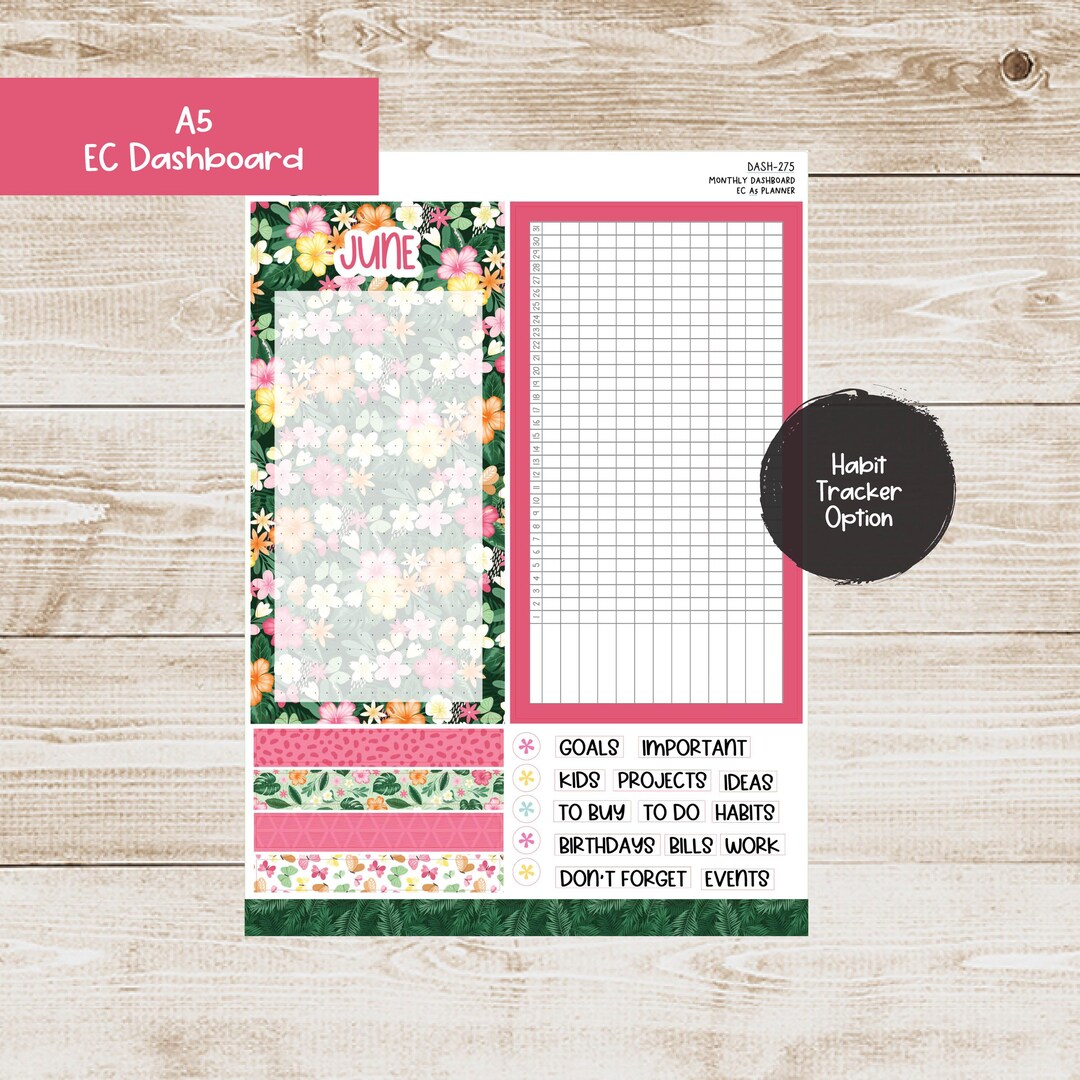 Erin Condren EC A5 Dashboard Monthly Kit - June 2025 - Tropical Glow ...