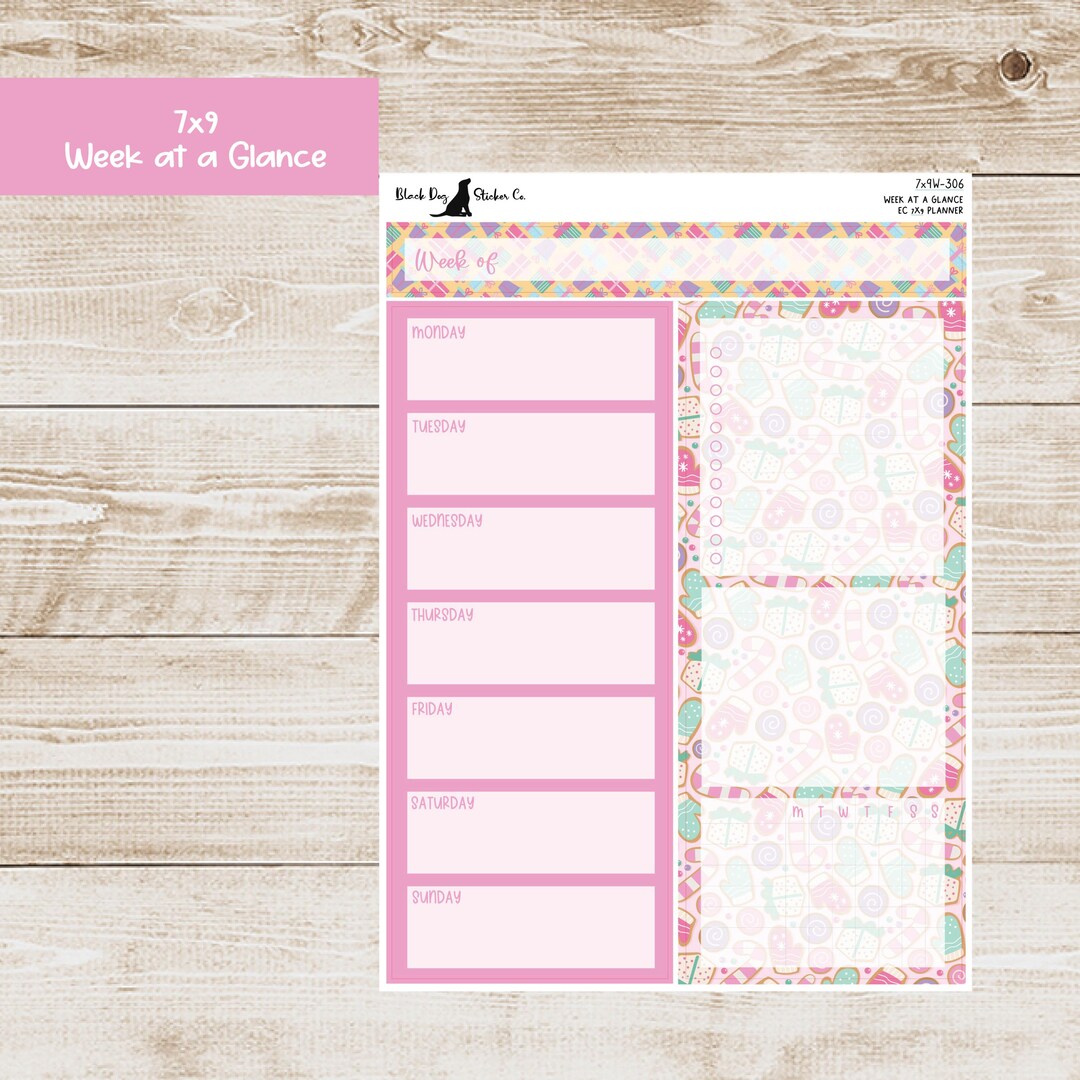 W-306 Erin Condren EC 7x9 or A5 Week at a Glance Kit - Holiday Pastels ...