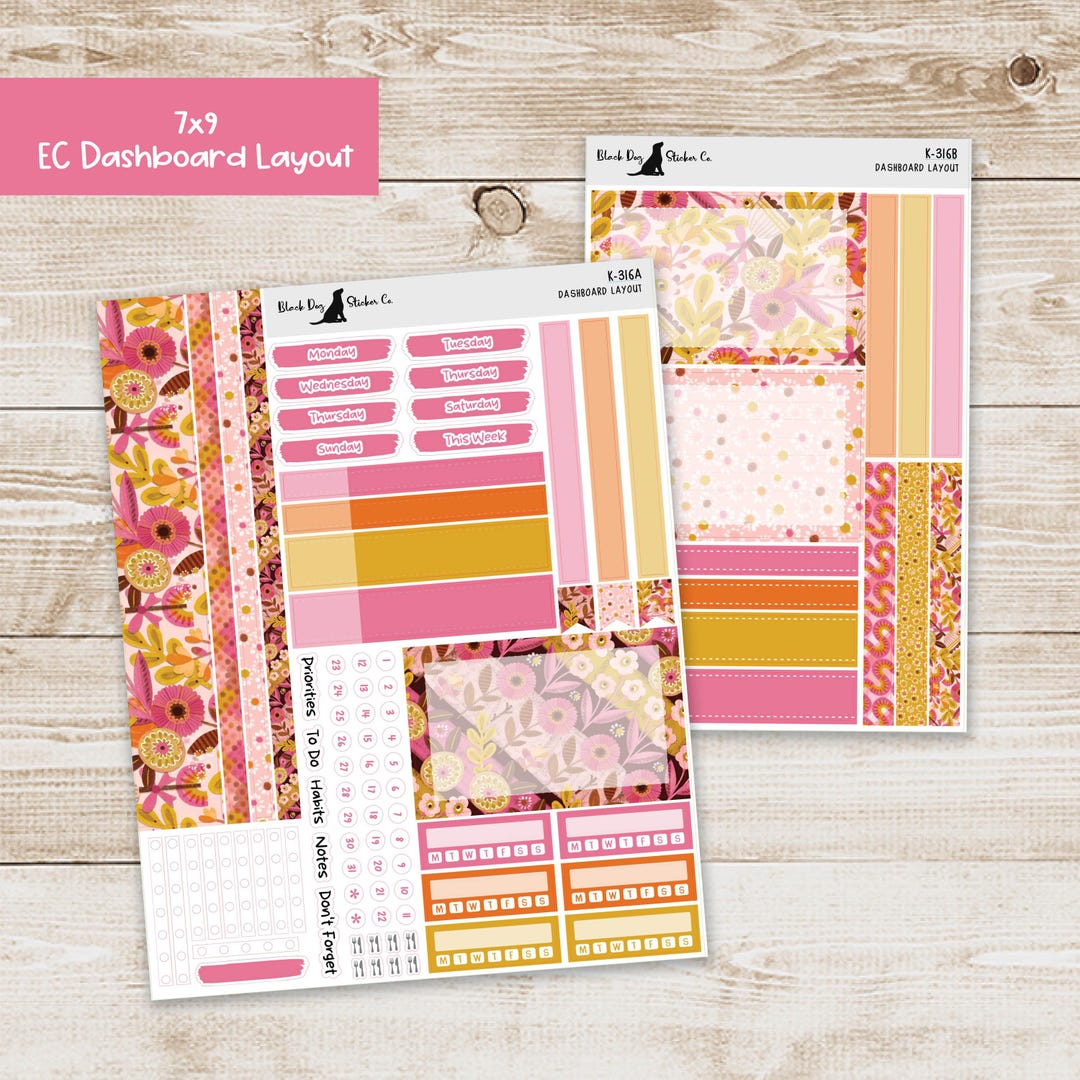 DB-316 Erin Condren EC 7x9 Dashboard Layout Weekly Kit - Pretty as a ...