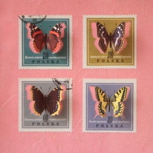Peut inclure: Quatre timbres-poste polonais vintage avec des illustrations de papillons. Chaque timbre présente un motif de papillon différent avec des couleurs variées, dont le rouge, le jaune et le noir. Les timbres sont sur un fond rose.