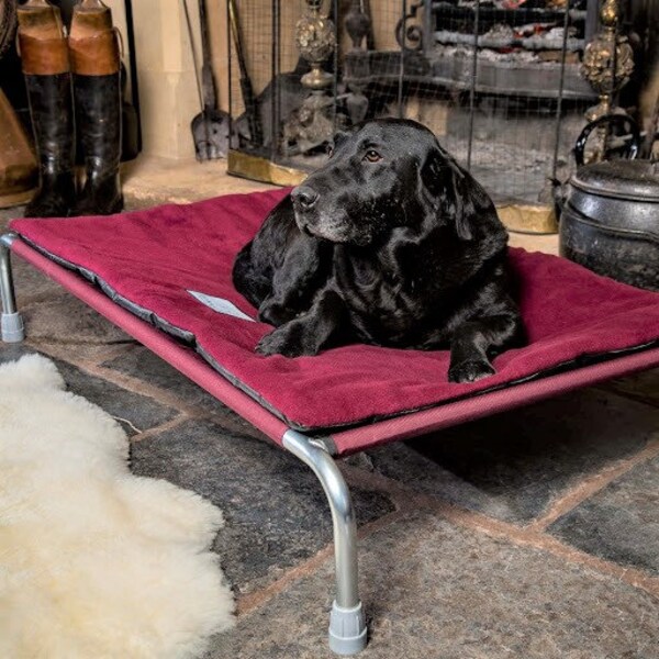 Raised Dog Bed Etsy UK