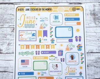 June Stickers of the Month // Decorative and Functional // Planner // Notebook // Bullet Journal (1 Sheet) Item #1079