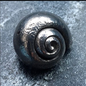 May include: A silver-colored metal snail sculpture with a detailed spiral shell.