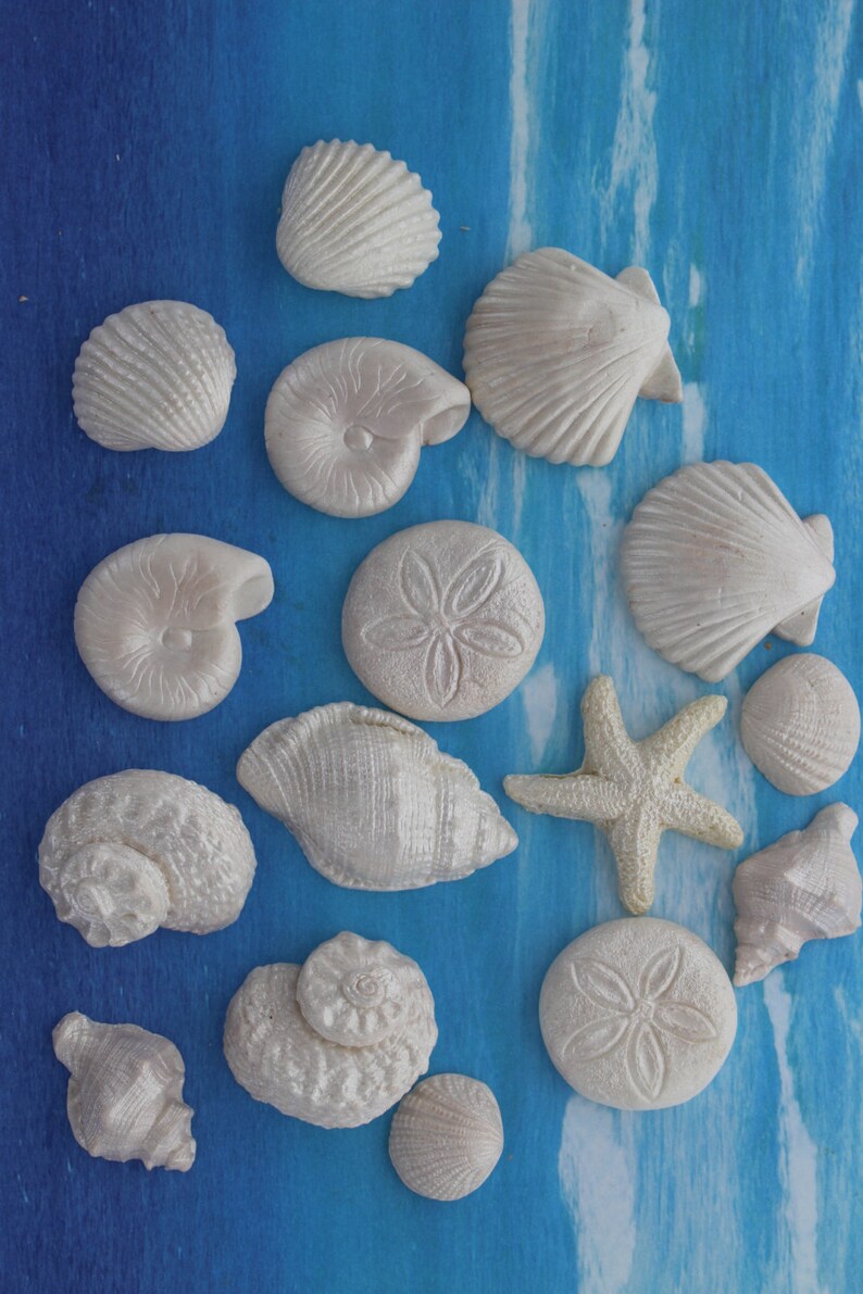 Edible Pearlized Seashells for Cakes/ Wedding Cakes/ Gumpaste Etsy