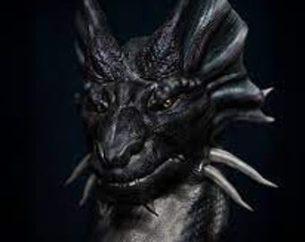 Level 5 Besen Dragons - Magickal Black and Silver Western Hybrids - Wish Granting Dragon Brings Happiness, Friendships, Justice, and Luck!