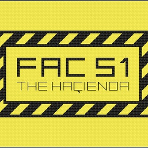 FAC51 PDF digital pattern