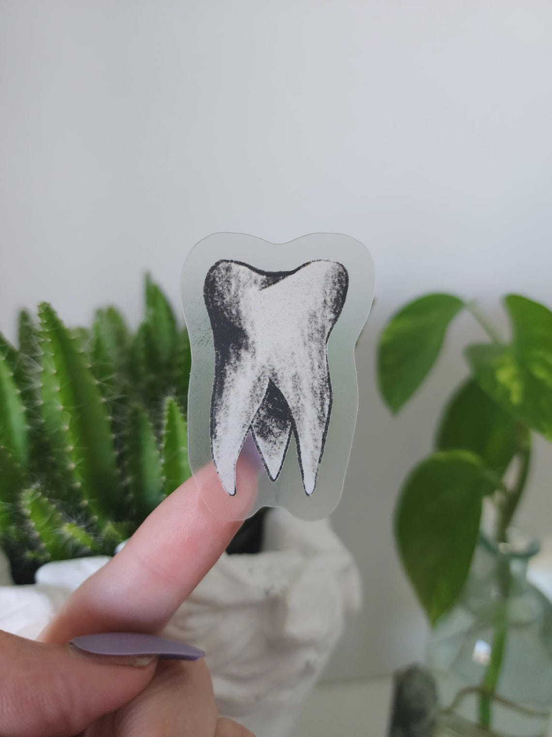 Tooth Transparent Sticker Tooth - Clear Vinyl Sticker - Etsy