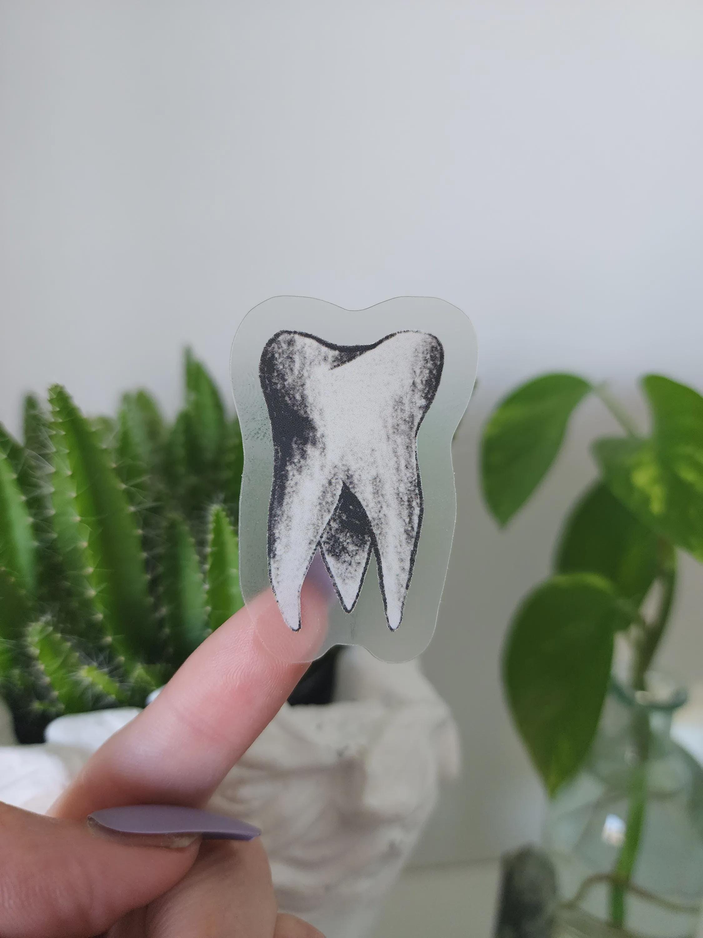 Tooth - Clear Vinyl Sticker - Etsy