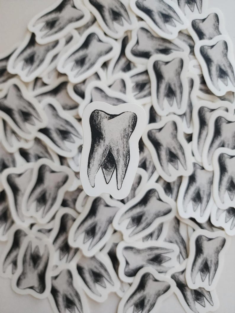 Tooth Transparent Sticker Tooth - Clear Vinyl Sticker - Etsy