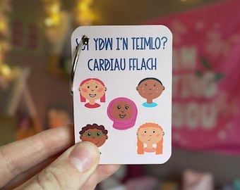 May include: A pink card with a blue border and the text "Sut Ydw I'n Teimlo?" and "Cardiau Fflach". The card features five cartoon faces with different expressions.
