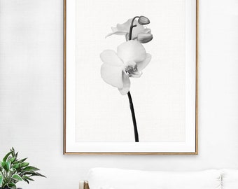 Orchid print,Black & White flower photography,Printable Art photo,flower Canvas Print, Large Wall decor Home Decor,Digital Modern Minimalist