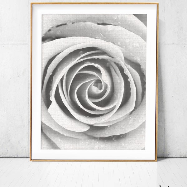 Rose Print,Black & White Poster,Printable Art photo,flower Canvas Print, Large Rose photo Wall decor Home Decor,Digital Modern Minimalist