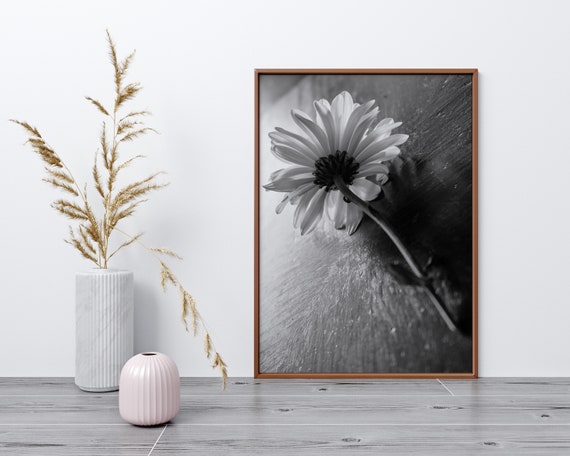 Black and White Photography Instant Download Printable Wall - Etsy