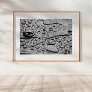Black and White Photograph, Digital Download, Printable Art, Raindrops ...
