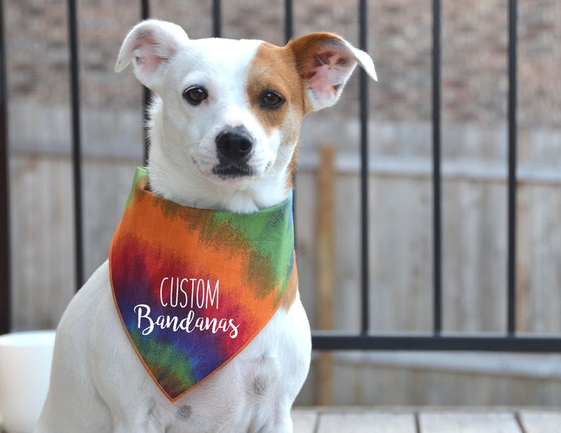 Custom Dog Bandanas Create Your Own Pet Accessories with Personalized Text and Graphics image 1