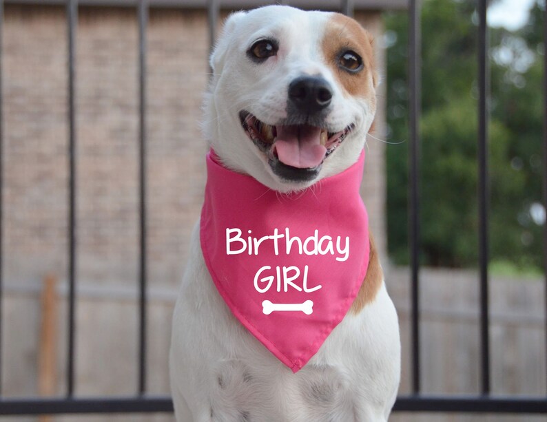 Dog Bandana Birthday Girl Dog Bandanas Personalized Etsy
