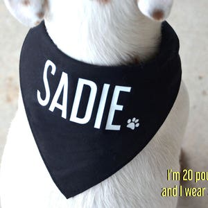 Custom Dog Bandanas Create Your Own Pet Accessories with Personalized Text and Graphics image 4