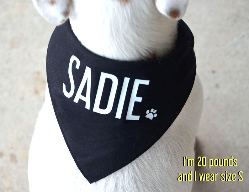 Custom Dog Bandanas Create Your Own Pet Accessories with Personalized Text and Graphics image 4