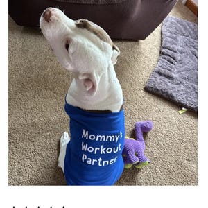 Custom Dog Shirts - Create Your Own Pet Shirts with Personalized Text and Graphics - RUN SMALL Bild 10