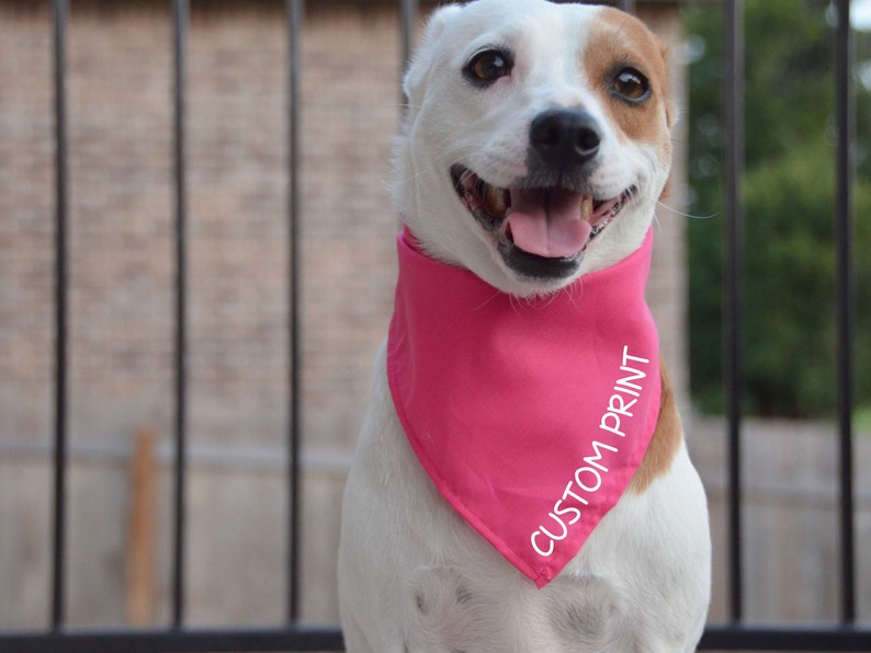 May include: A white and brown dog wearing a pink bandana with the text "CUSTOM PRINT" in white.