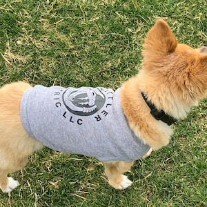 K&ouml;nnte beinhalten: Ein kleiner, hellbrauner Hund, der ein graues Tanktop mit einem schwarz-wei&szlig;en Logo tr&auml;gt, auf dem "Little Critter LLC" steht.