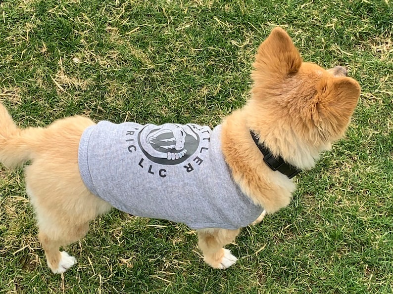 K&ouml;nnte beinhalten: Ein kleiner, hellbrauner Hund, der ein graues Tanktop mit einem schwarz-wei&szlig;en Logo tr&auml;gt, auf dem "Little Critter LLC" steht.