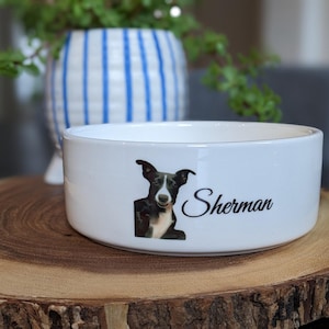 Personalized Dog Bowl Gift, Custom Ceramic Name Dish for Pets, Dog Mom Present, Cat food plate
