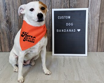 Dog Bandana Halloween - Dog Scarfs - Pet Accessories for Halloween - Dog Costumes - Bandannas - Here for the Treats - Dog Clothing