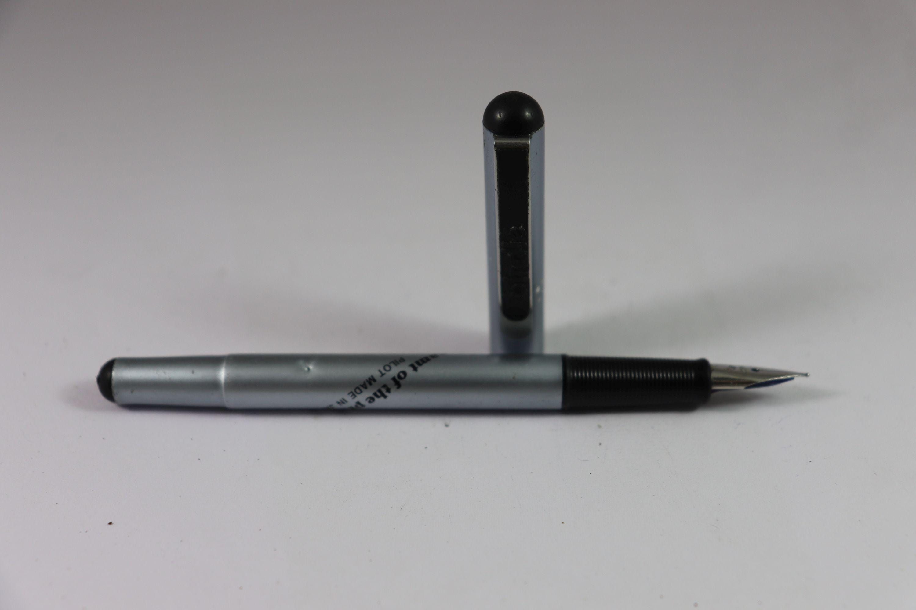 Pilot Birdie Fountain Pen - Etsy