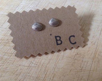 Sea Shell Stud Earrings