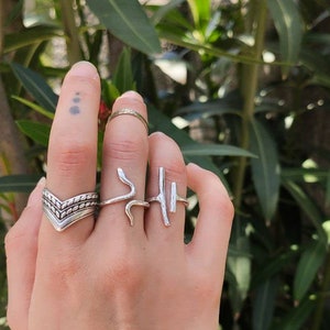 May include: A hand wearing four silver rings. The rings are a snake design, a simple band, a chevron design, and a vertical bar design.