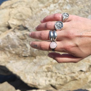 Op de afbeelding: Een hand met verschillende zilveren ringen. E&eacute;n ring heeft een roze edelsteen, een andere een slangenmotief en een derde een bij. De ringen worden gepresenteerd tegen een achtergrond van rotsen en water.