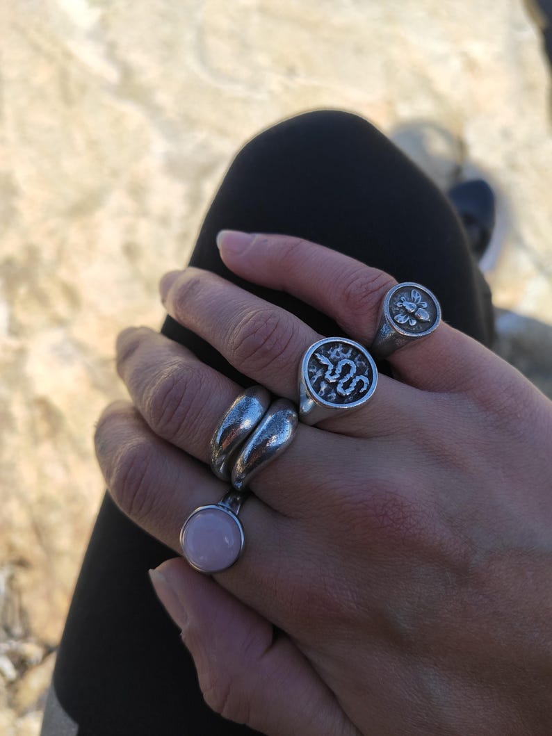 Op de afbeelding: Een hand toont vijf zilveren ringen. E&eacute;n ring heeft een roze edelsteen, een andere heeft een dubbelbandontwerp en twee andere hebben ronde vlakken met reli&euml;fontwerpen, waaronder een slang en een bloem. De ringen worden gedragen op een hand tegen een vage achtergrond.