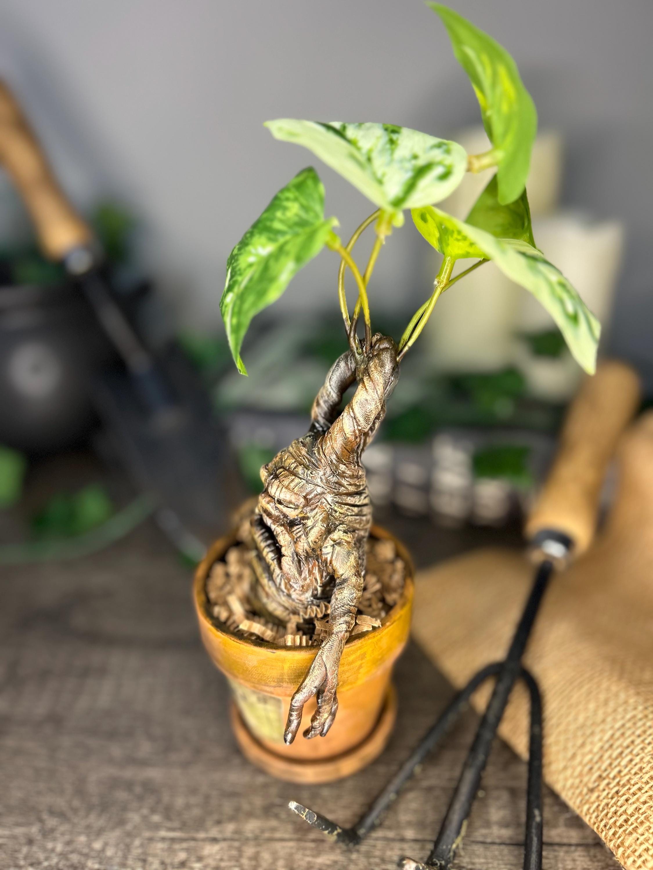 Mandrake Seedling Art Figurine | Baby Mandrake Root | Harry Potter
