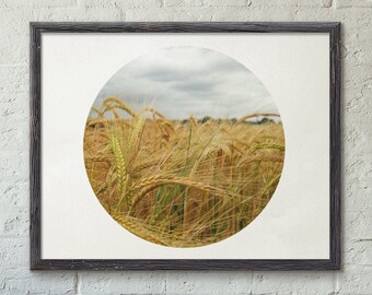 Corn field circle photo print - Nature fields style photography / modern art / unframed / custom sizes