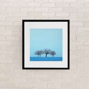 G / Blue winter tree / glicee fine art print / forest / woods/ seasons / modern / landscape image 1