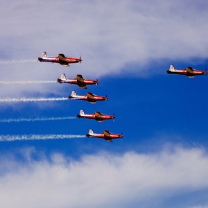 Flying High - Digital Download
