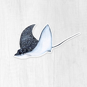 Spotted Eagle Ray Weatherproof Vinyl Sticker with Transparent Edges