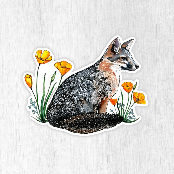 Channel Island Fox Weatherproof Vinyl Sticker with Transparent Edges